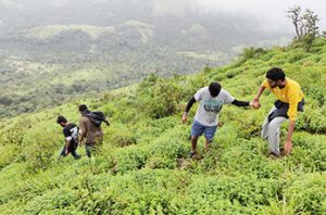 best resorts in Sakleshpur